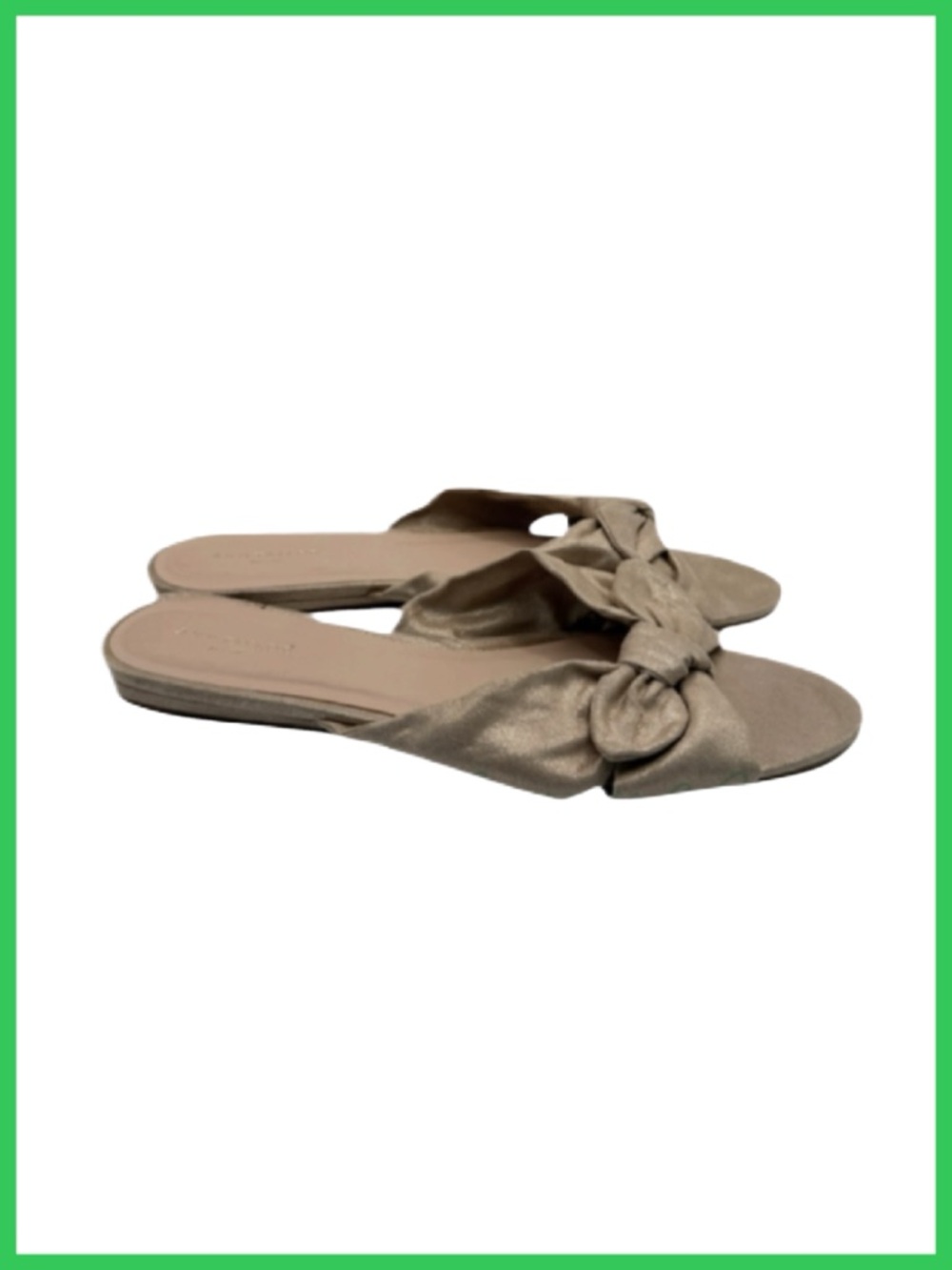 Ann Taylor Factory Metallic Flat Slides/Slippers